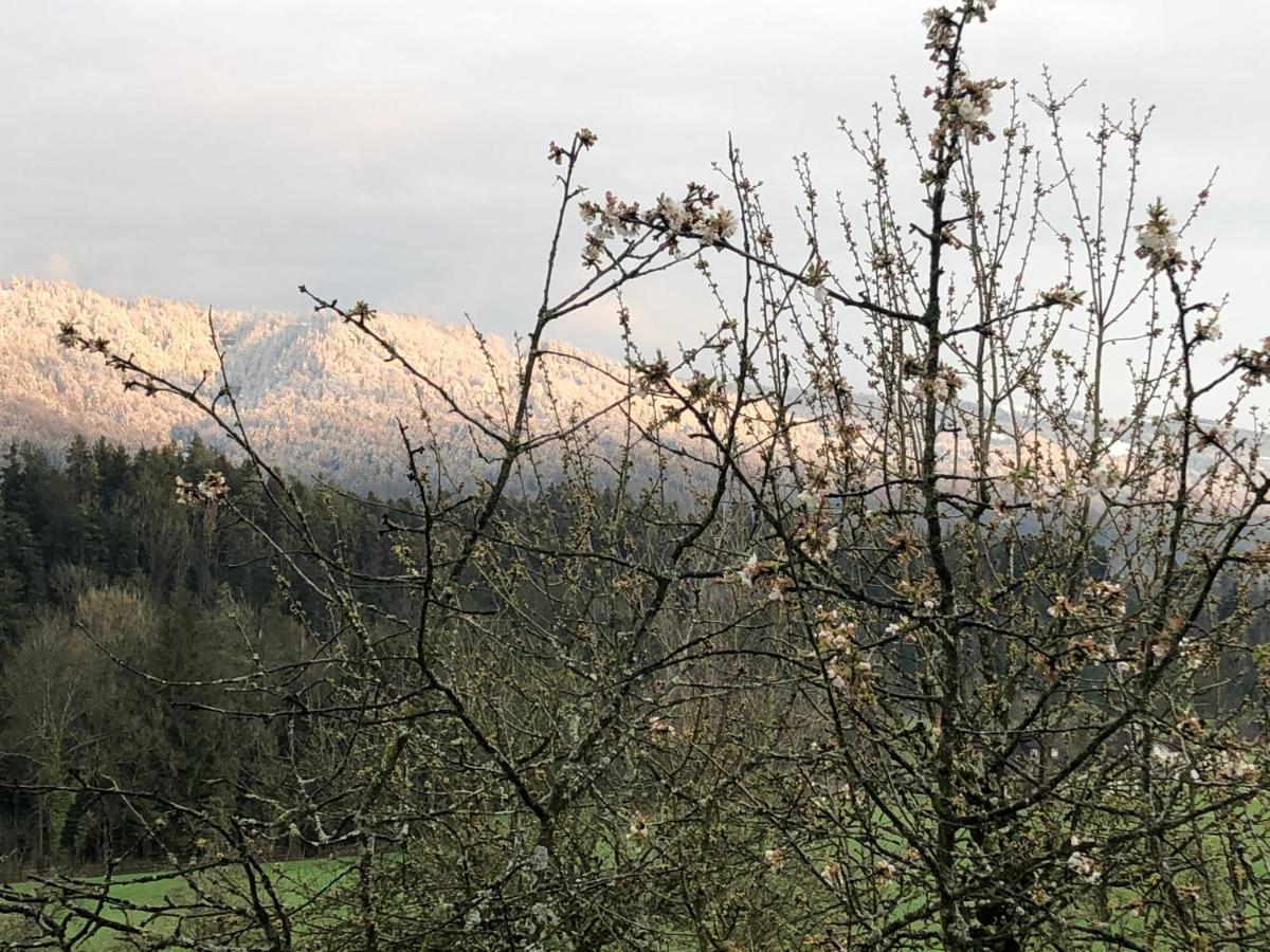 Ferienwohnung Samys Nahe Lindau Am Bodensee Sigmarszell Bagian luar foto